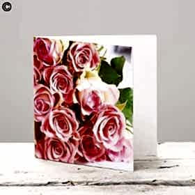 Pink Rose Blank Greetings Card