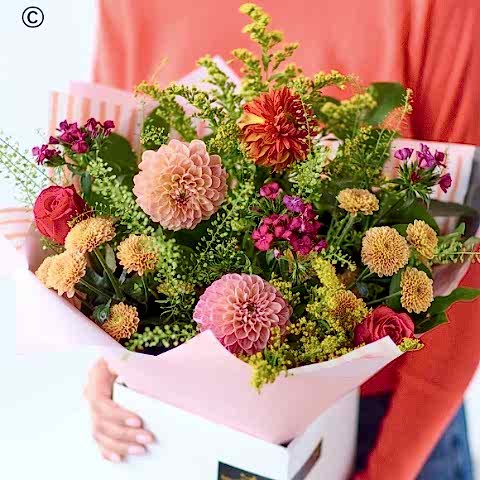 Dahlia Hand tied