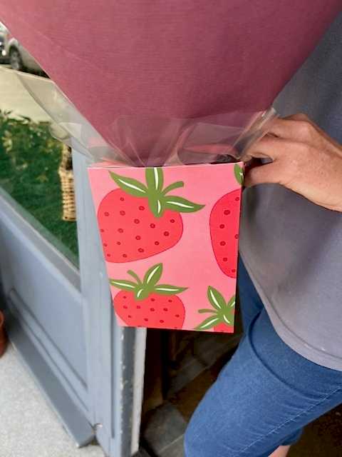 Strawberries n Cream Handtied